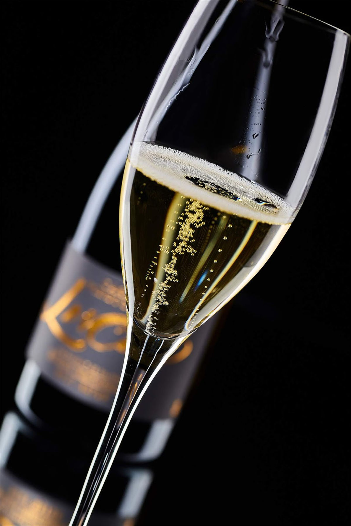 紅酒包裝設(shè)計參考(圖3)