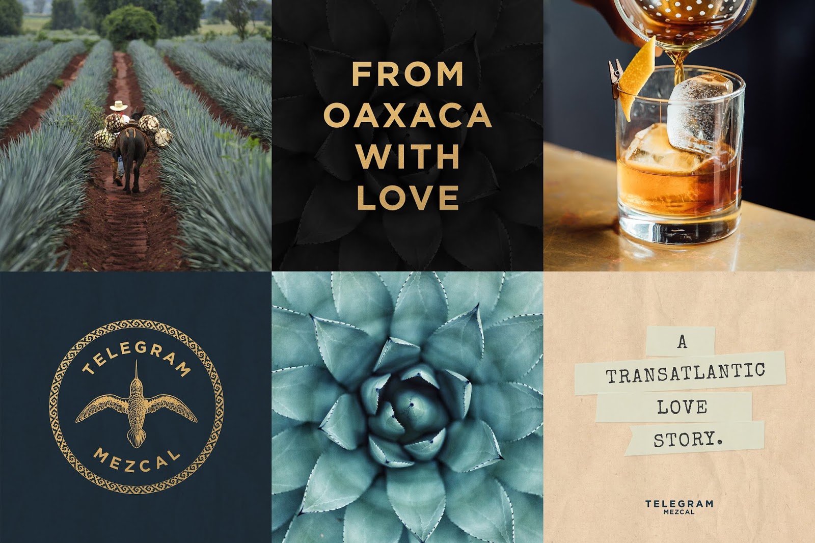 西安酒包裝設(shè)計參考(圖4) 西安酒包裝設(shè)計參考(圖4)