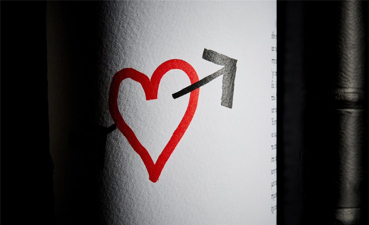 寧夏紅酒包裝設(shè)計(jì)公司推薦參考案例(圖14)