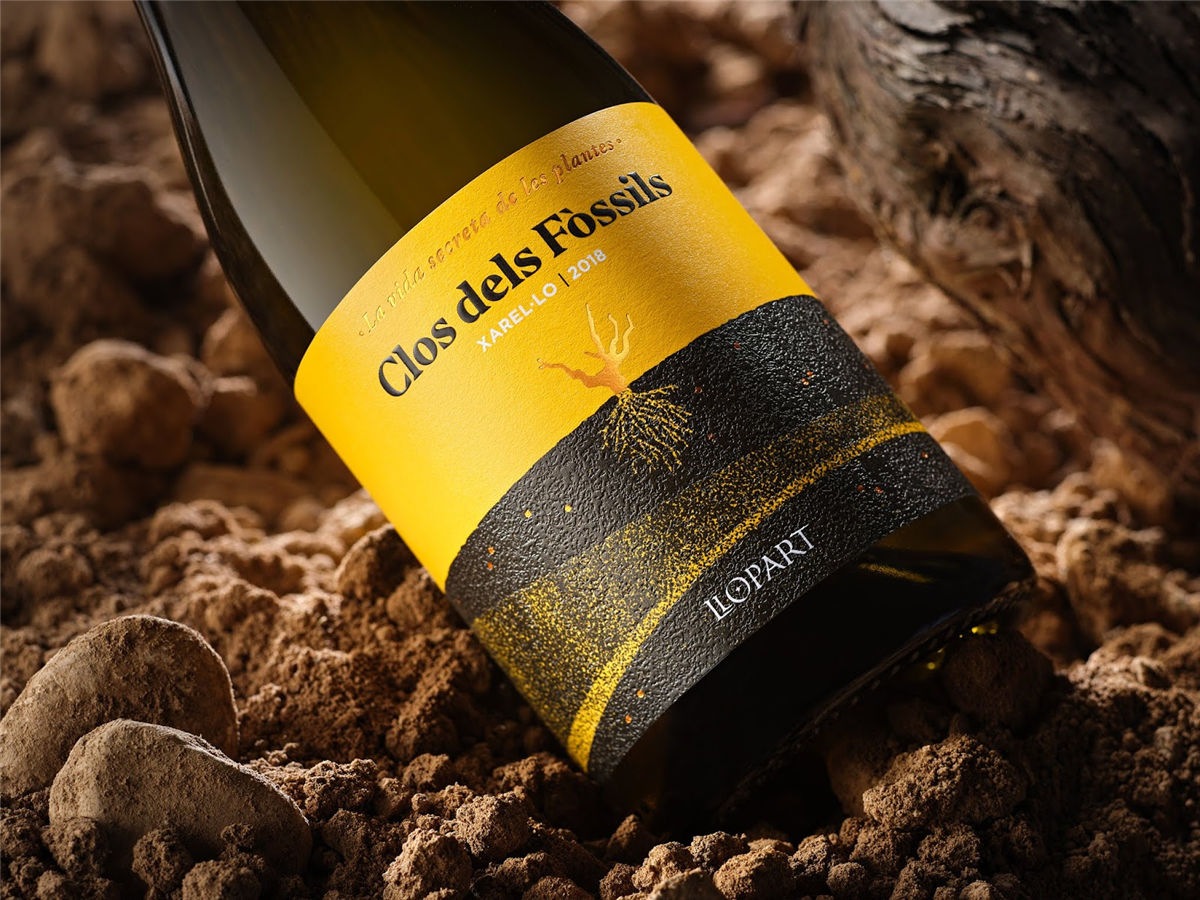 寧夏紅酒包裝設(shè)計(jì)公司推薦參考案例(圖25)