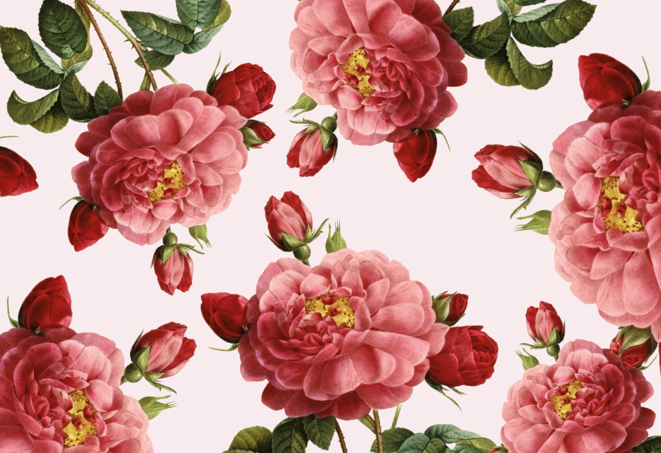 玫瑰精油品牌產(chǎn)品包裝設(shè)計(jì)(圖1) 玫瑰精油品牌產(chǎn)品包裝設(shè)計(jì)(圖1)