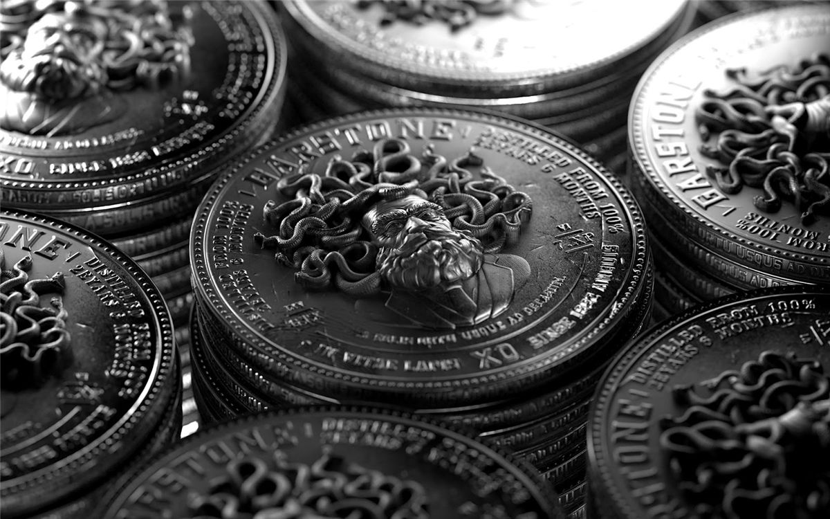 烈酒包裝設(shè)計(jì)(圖4)