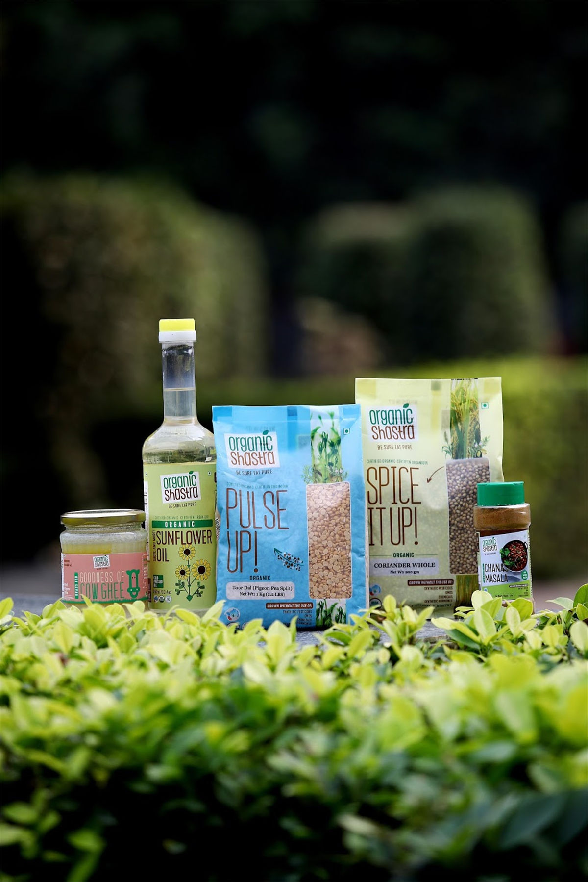 食品品牌系列包裝設(shè)計(jì)(圖2)