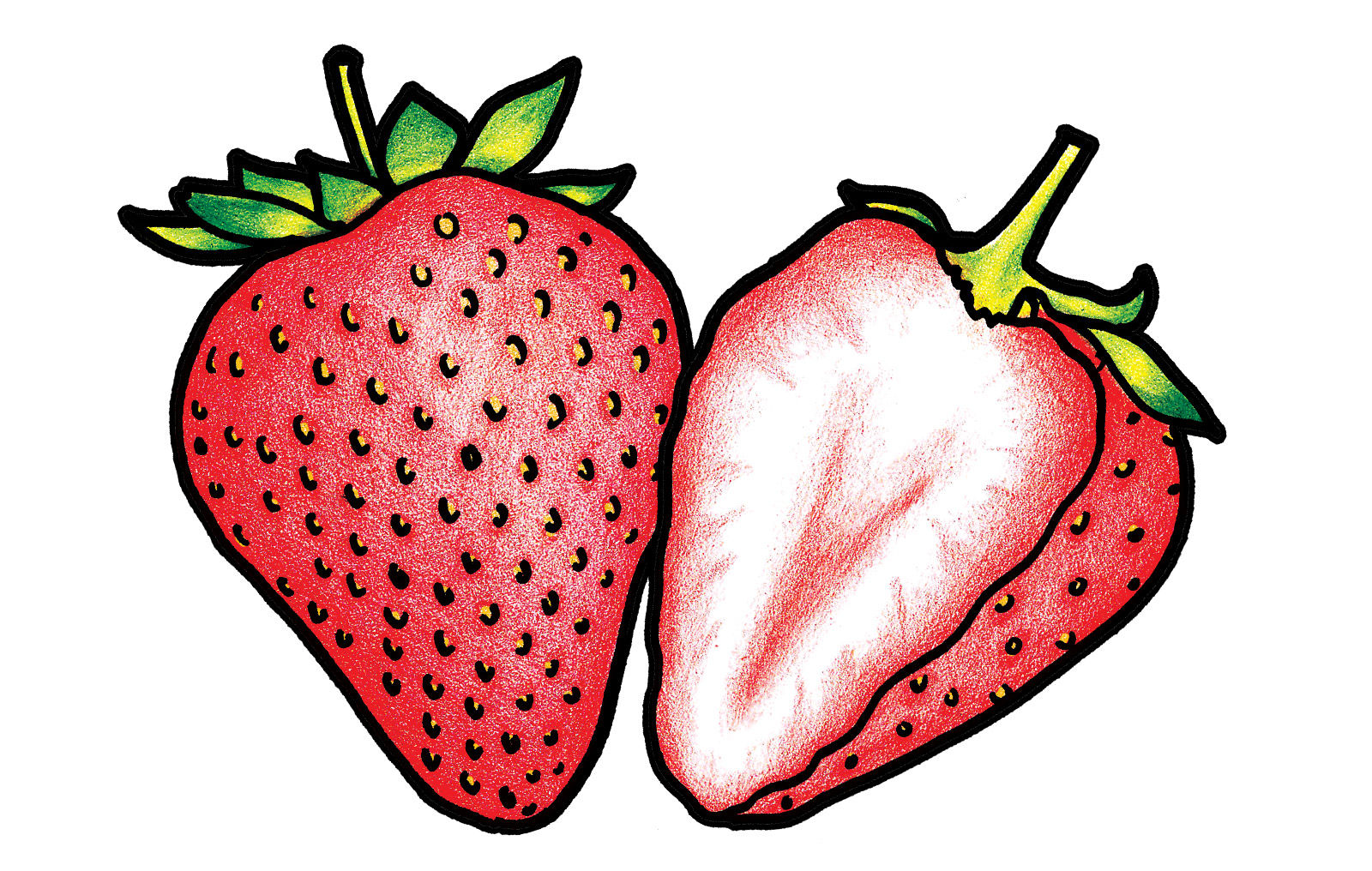 果干包裝設(shè)計(jì)說明(圖5) 果干包裝設(shè)計(jì)說明(圖5)