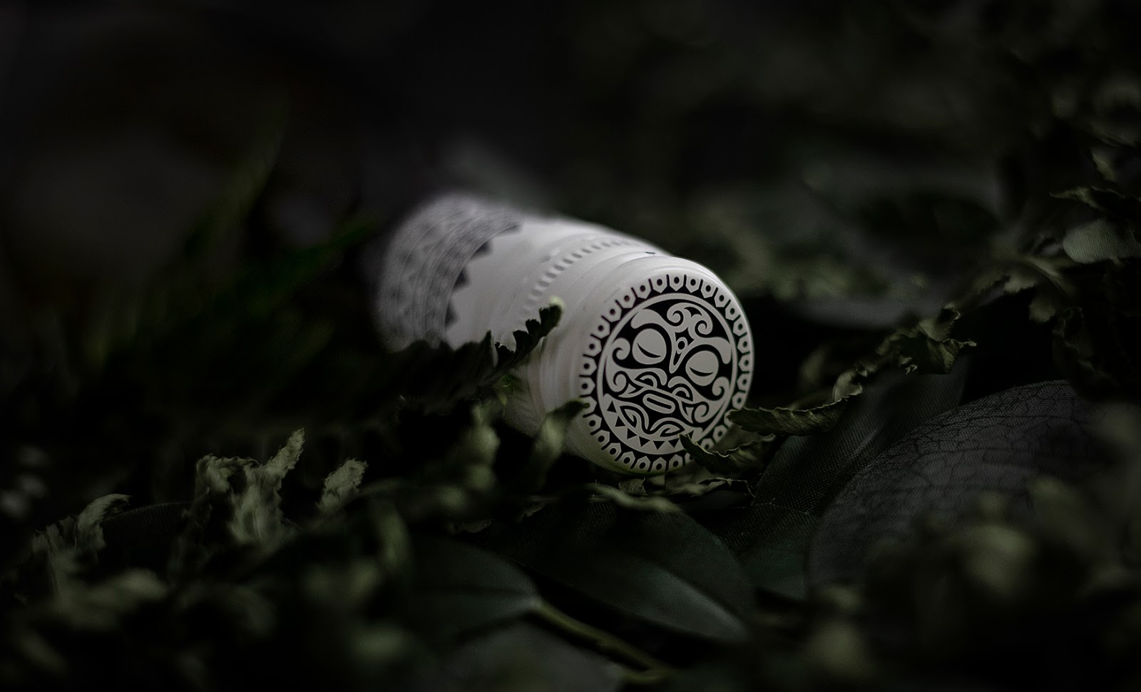 廣州紅酒包裝設(shè)計(jì)(圖3)