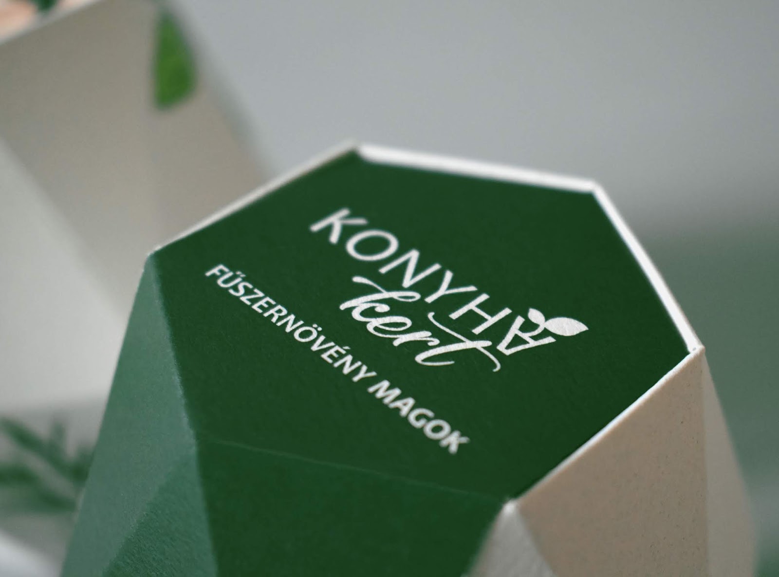 鮮花種子禮盒包裝設(shè)計(jì)(圖5)