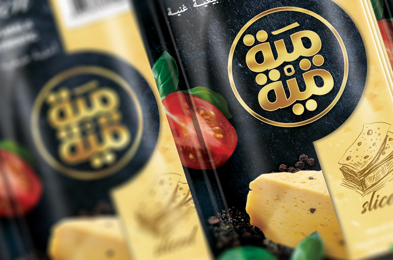 石家莊食品包裝設(shè)計(圖5)