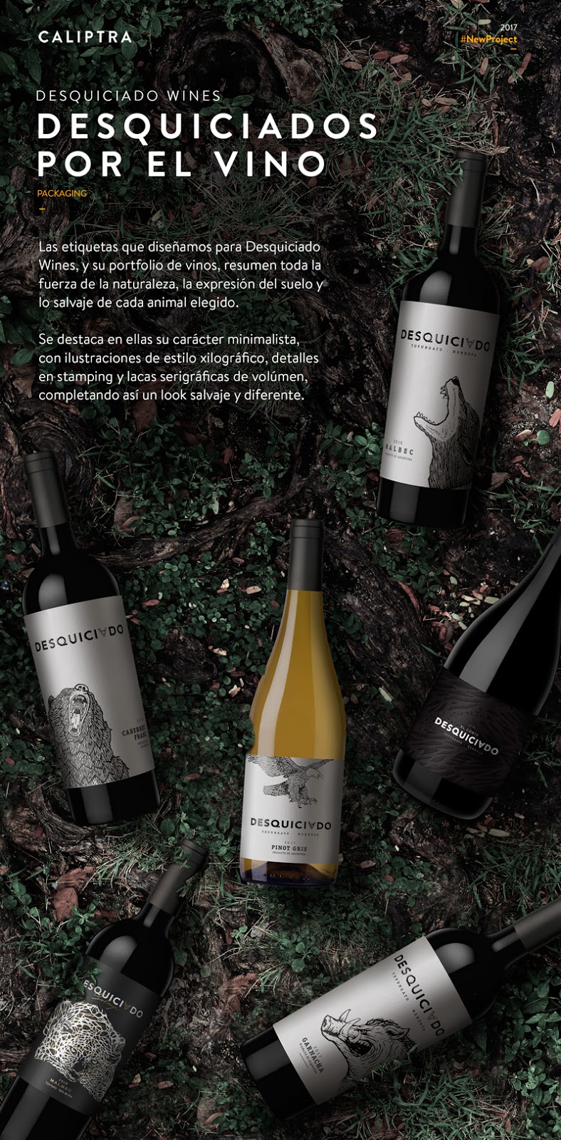 太原包裝設(shè)計(jì)(圖1)