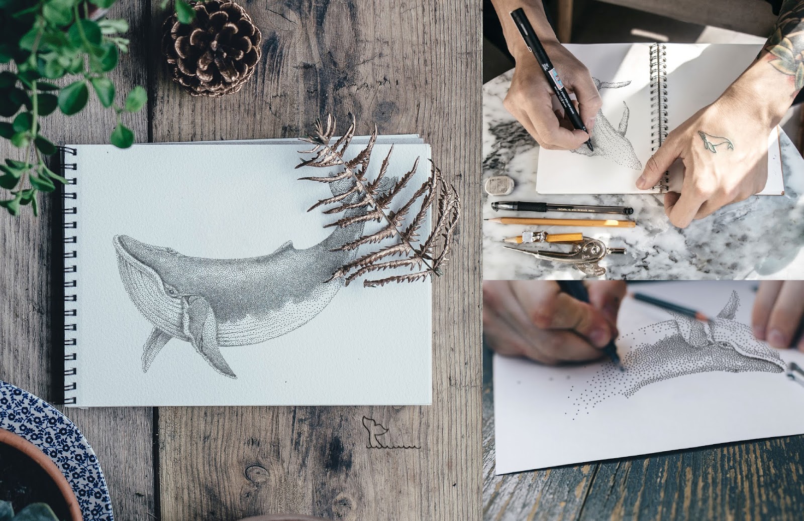 太原酒包裝設計(圖4) 太原酒包裝設計(圖4)