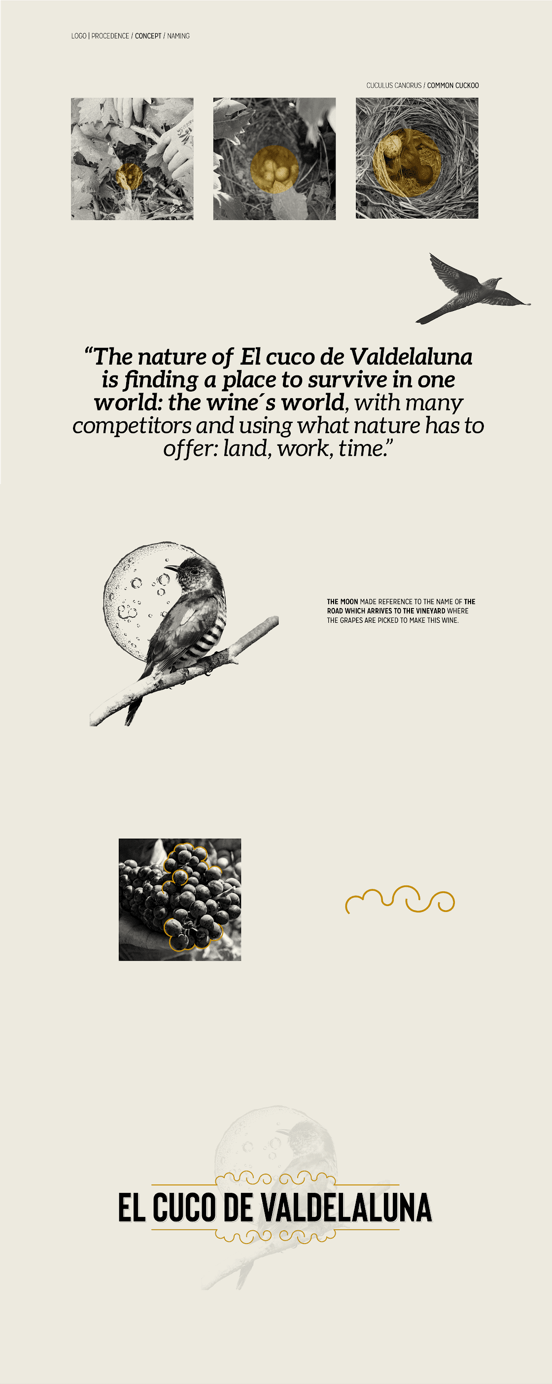 濟(jì)寧葡萄酒包裝設(shè)計(jì)簡(jiǎn)約時(shí)尚(圖2)