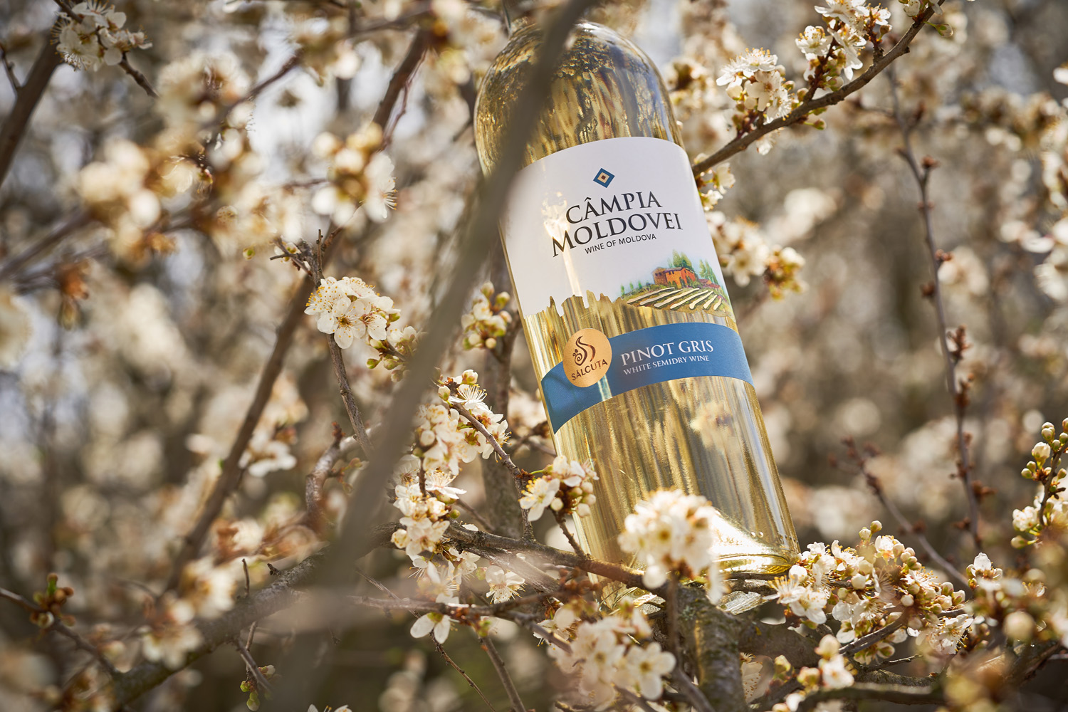 蘭州酒包裝設(shè)計公司(圖2)