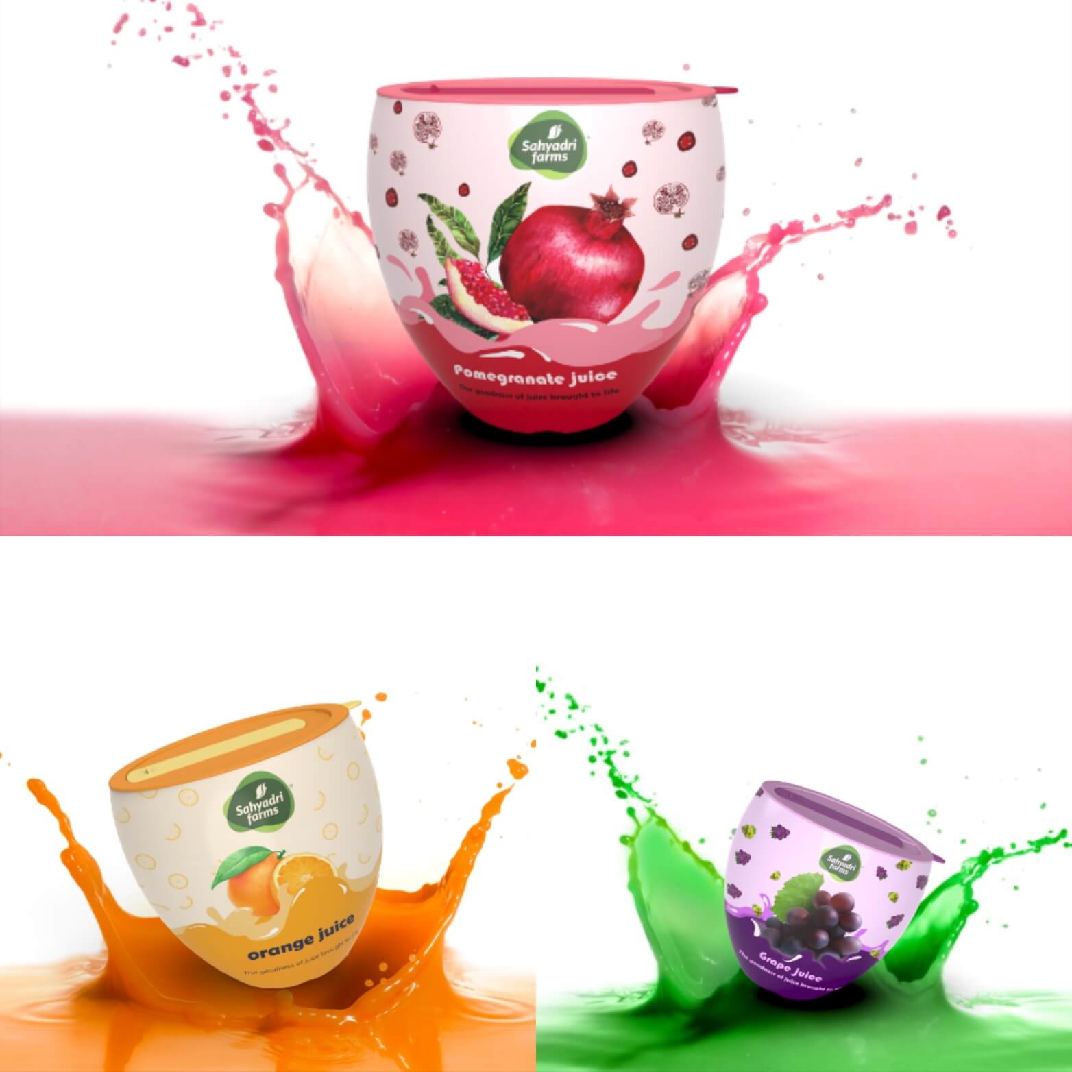 石榴汁果汁包裝設(shè)計(jì)(圖1)