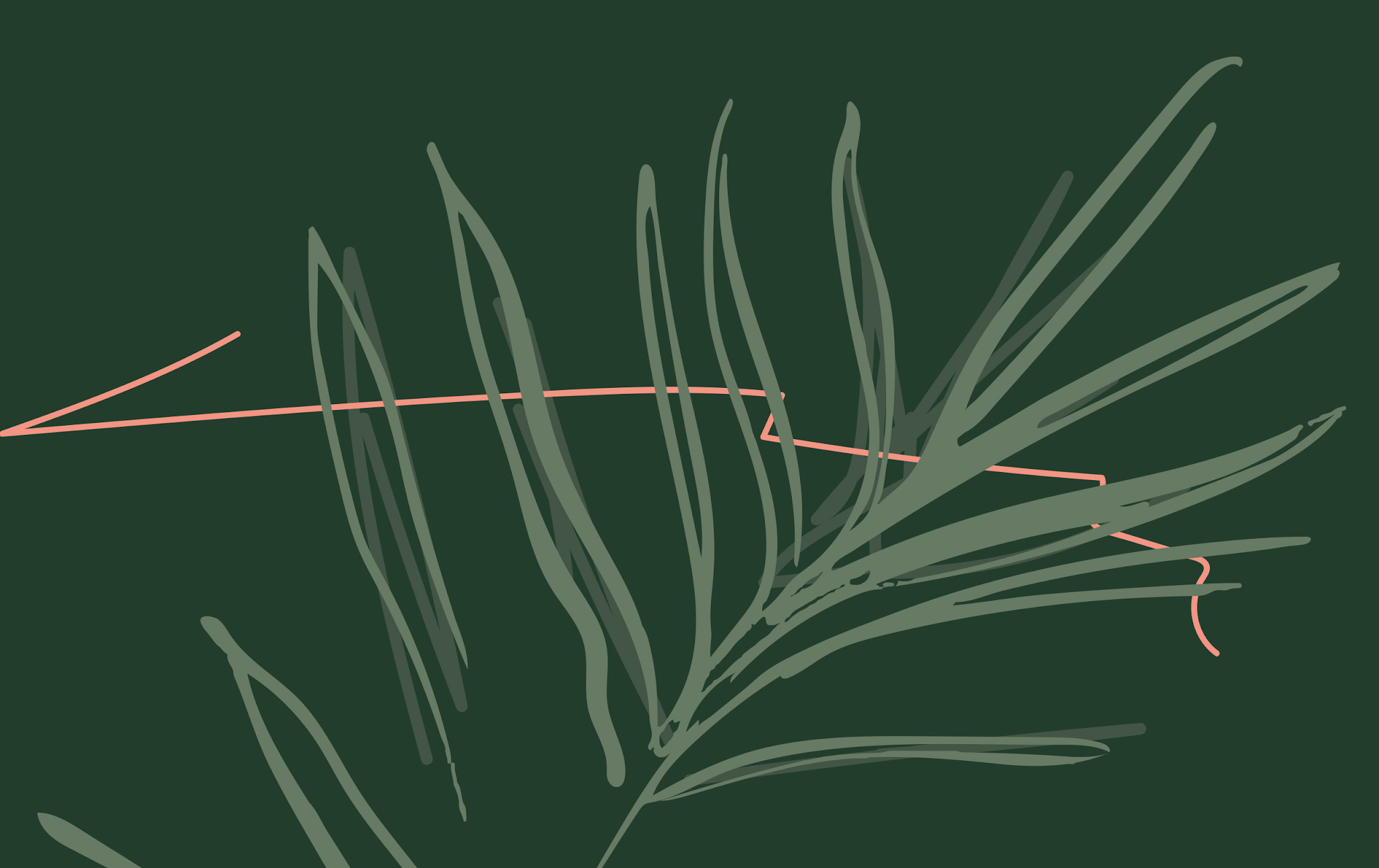 無殘留洗發(fā)水包裝設(shè)計(jì)(圖20)