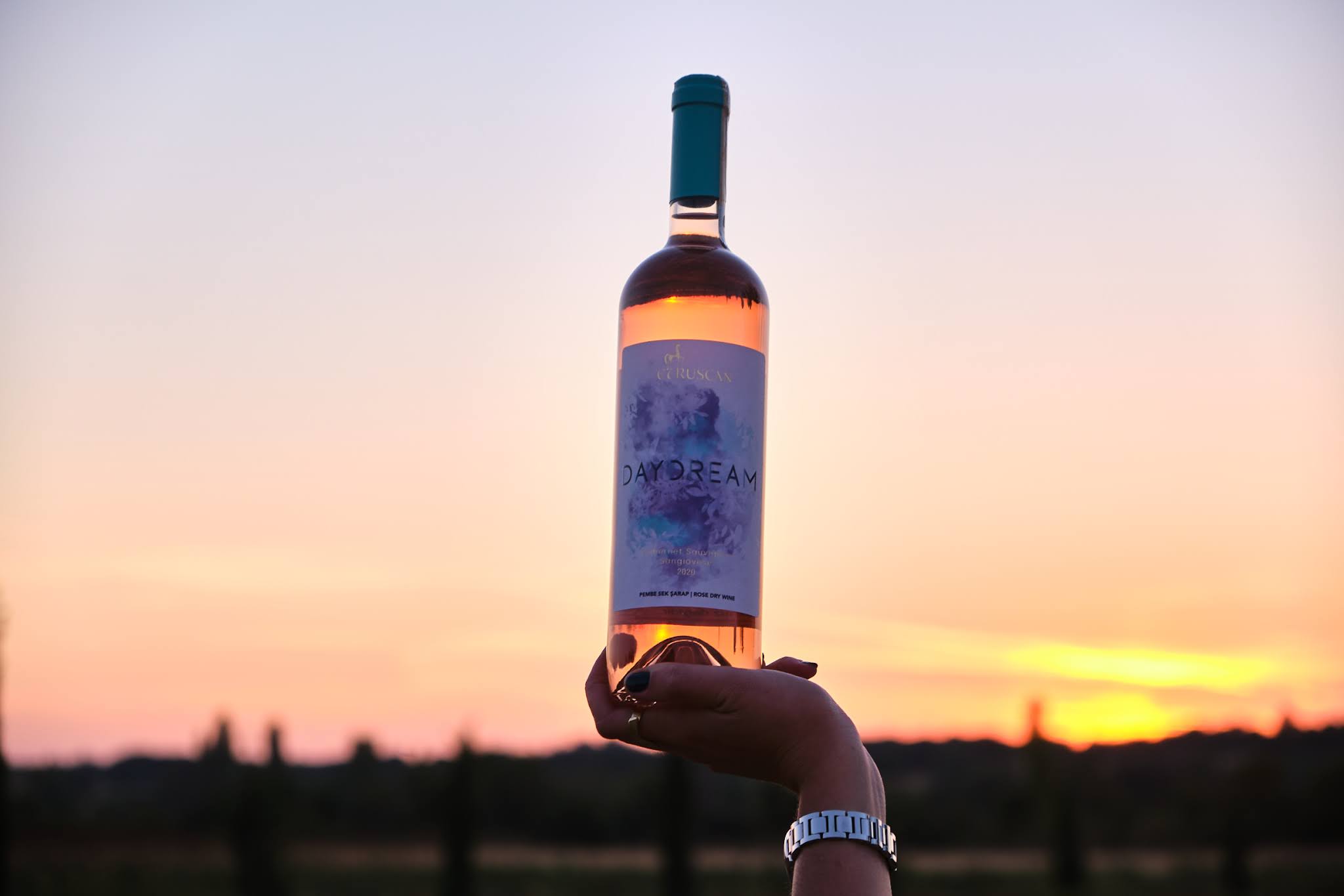 葡萄酒包裝設(shè)計簡約奢華(圖2)