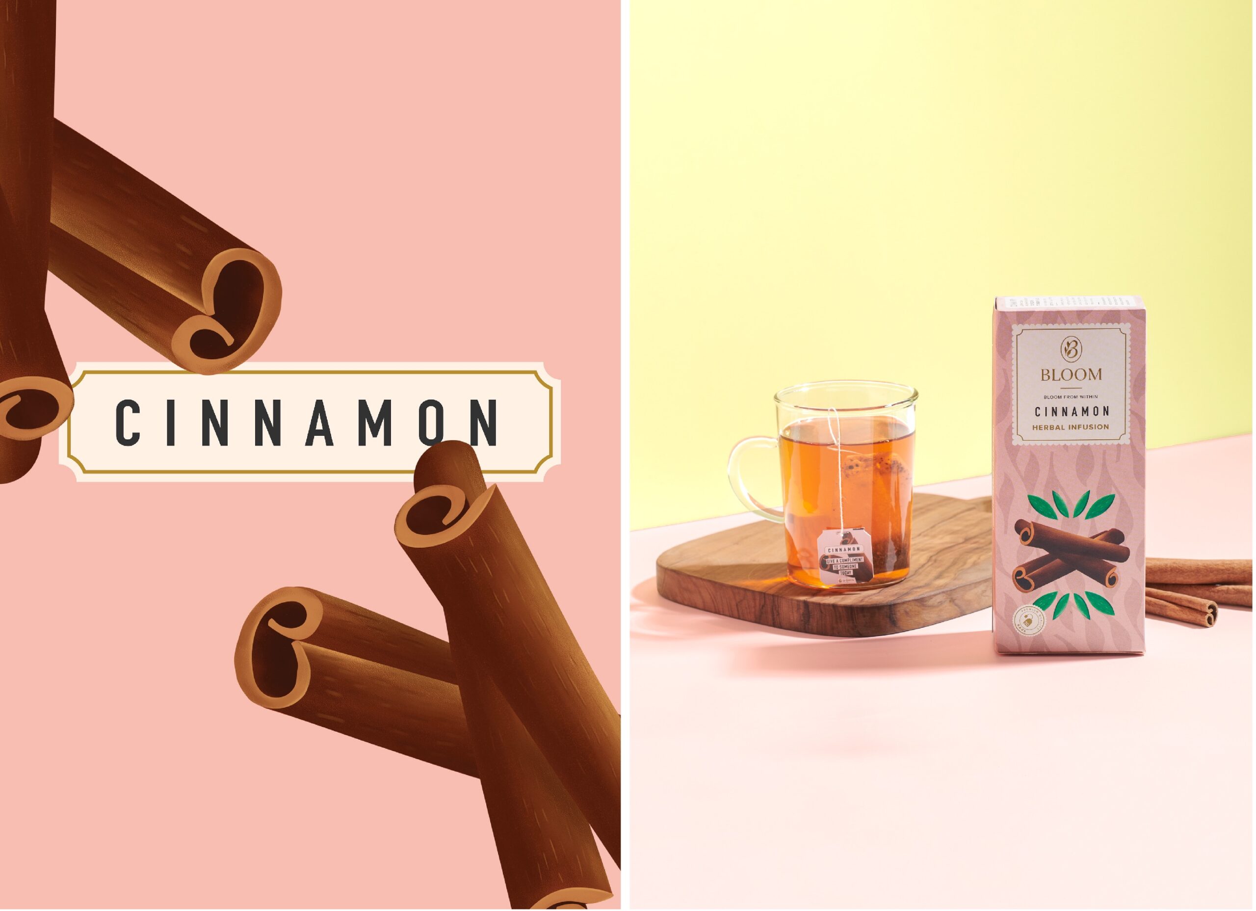 繪畫風(fēng)格的草本茶包裝設(shè)計這樣做(圖6)