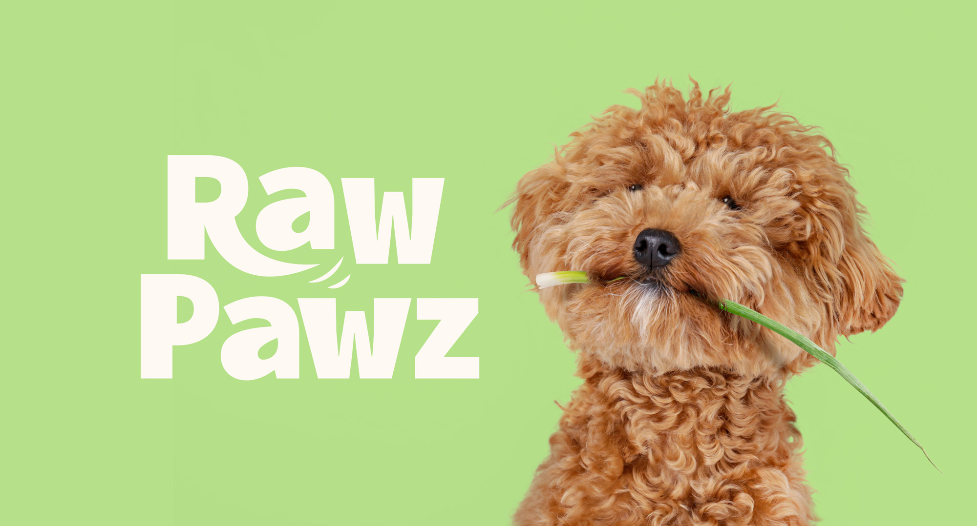 寵物包裝設計欣賞用品狗糧包裝設計欣賞包裝設計(圖1) 寵物包裝設計欣賞用品狗糧包裝設計欣賞包裝設計(圖1)