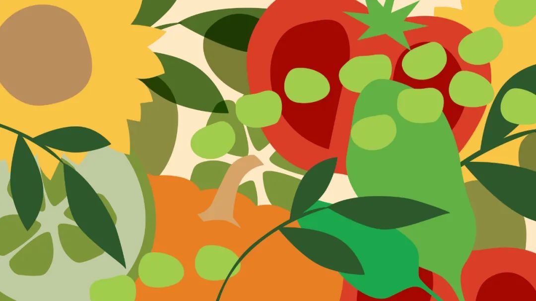 寵物包裝設(shè)計欣賞食品及配件品牌包裝設(shè)計(圖6)