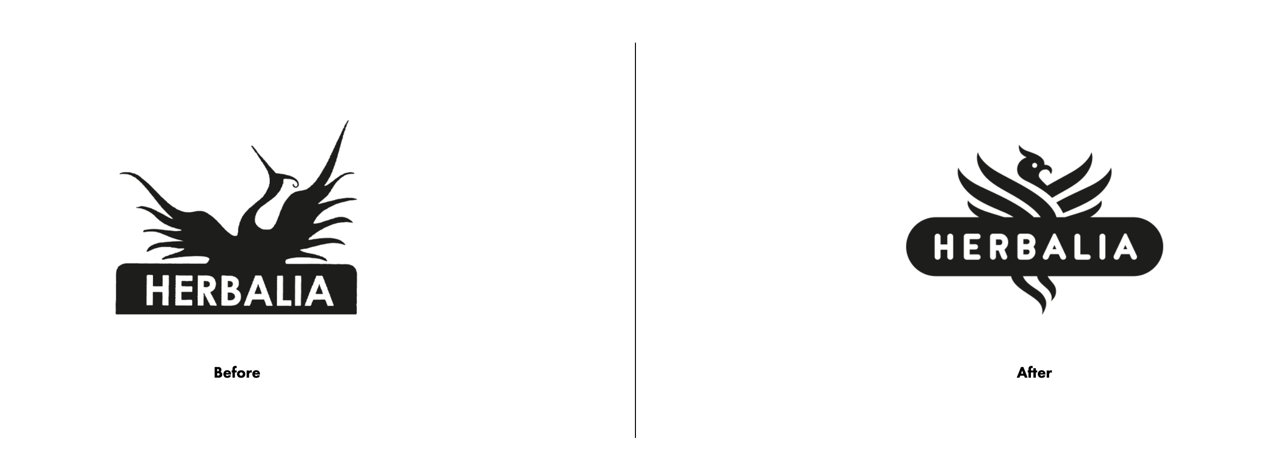 草本植物茶飲品品牌包裝設計(圖1)