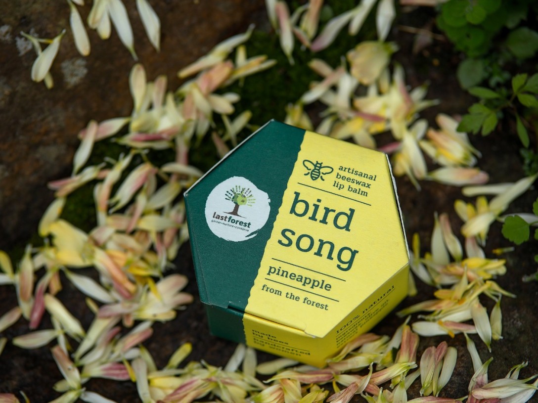 ?Last Forest 手工蜂蠟潤唇膏的包裝設(shè)計(圖3)