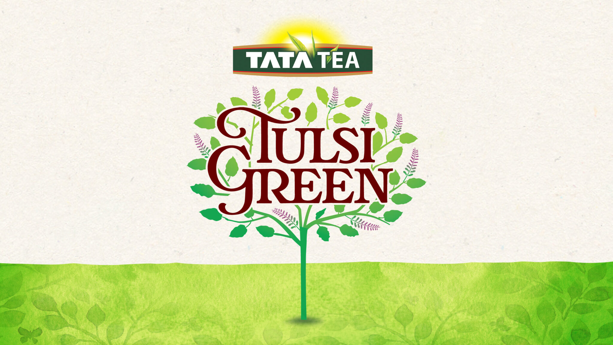 自然清新的茶葉包裝設(shè)計欣賞(圖3)