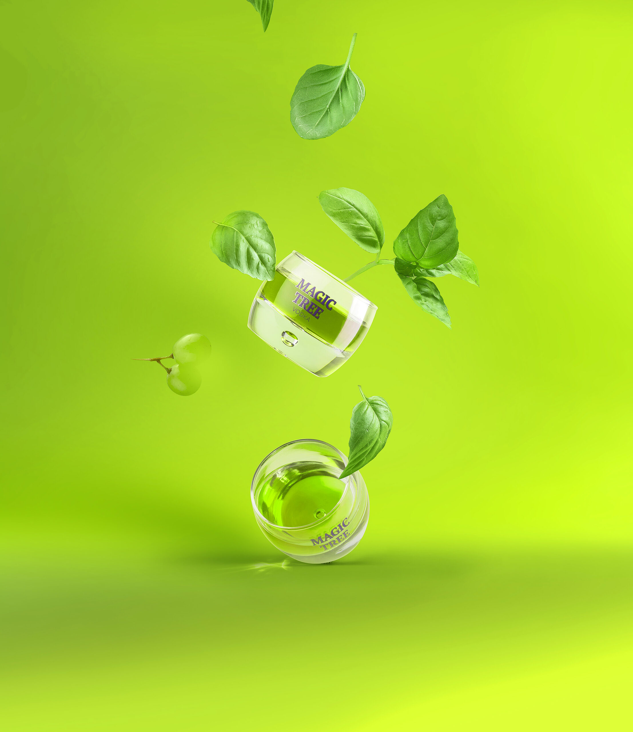 原始高貴的伏特加酒包裝設計欣賞(圖2) 原始高貴的伏特加酒包裝設計欣賞(圖2)