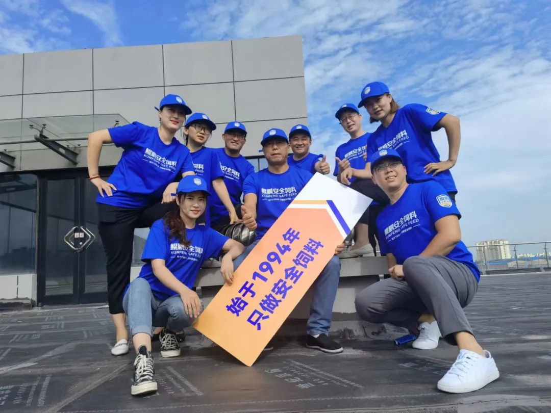 鯤鵬飼料品牌升級為鯤鵬安全飼料進(jìn)一步強(qiáng)化品牌優(yōu)勢(圖25)