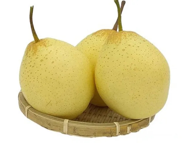 天津特產(chǎn)鴨梨包裝怎么設計好賣貨(圖1) 天津特產(chǎn)鴨梨包裝怎么設計好賣貨(圖1)