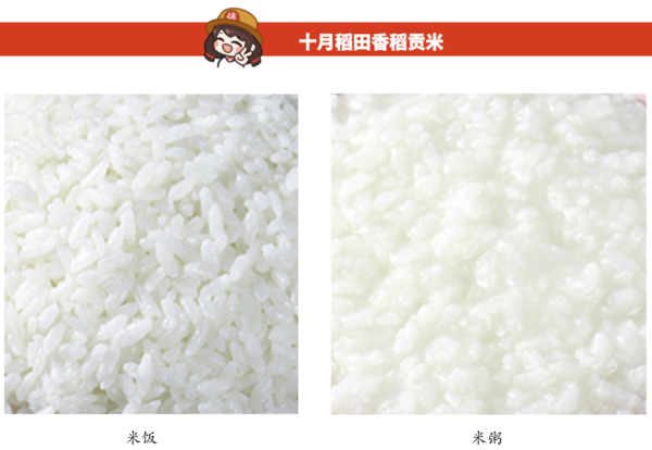 SHI YUE DAO TIAN 十月稻田 香稻貢米 5kg包裝設(shè)計欣賞 (圖3)