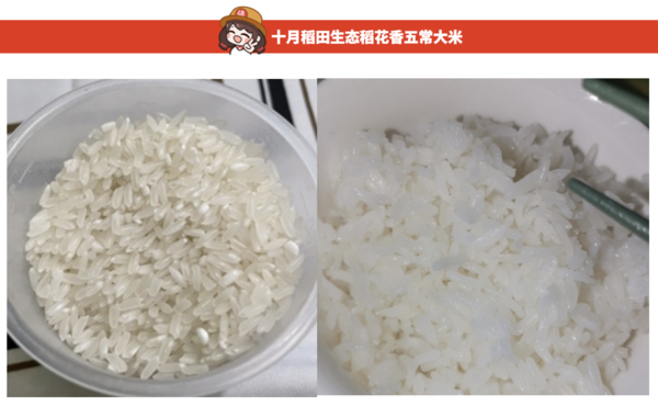 SHI YUE DAO TIAN 十月稻田 五常大米 5kg包裝設(shè)計欣賞 (圖2)