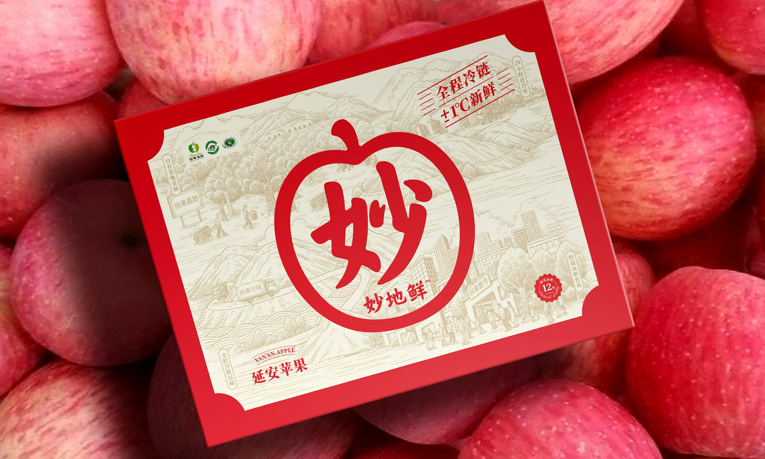 蘋果包裝盒設(shè)計作品欣賞(圖1)