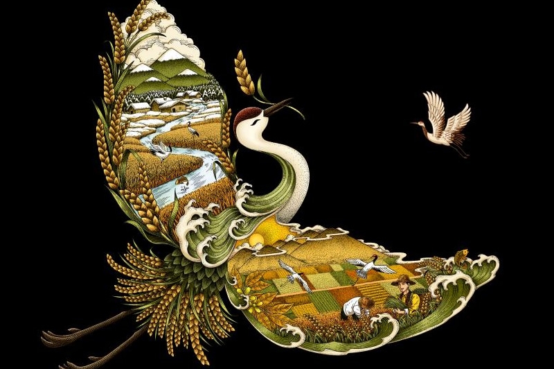 四喜如何通過(guò)包裝設(shè)計(jì)，讓金鶴黑珍珠大米彰顯高端定位