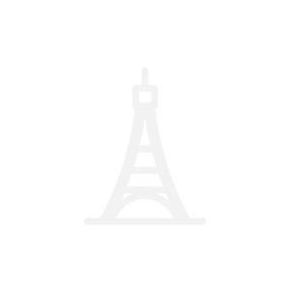 竹林鳥品牌logo設(shè)計欣賞與分析(圖1)