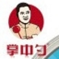 掌中勺品牌故事-logo設(shè)計分析(圖1)