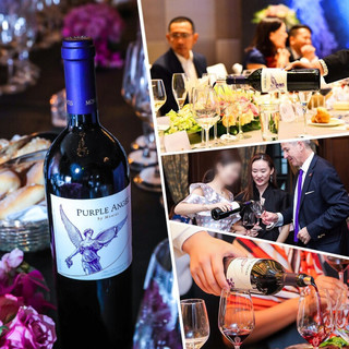 創(chuàng)意酒包裝設(shè)計蒙特斯天使秘密紫天使空加瓜谷干型紅葡萄酒產(chǎn)品包裝設(shè)計欣賞(圖8) 創(chuàng)意酒包裝設(shè)計蒙特斯天使秘密紫天使空加瓜谷干型紅葡萄酒產(chǎn)品包裝設(shè)計欣賞(圖8)