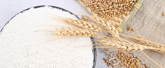 SNOWFOOD雪健品牌logo與產(chǎn)品包裝設(shè)計(jì)欣賞(圖3)