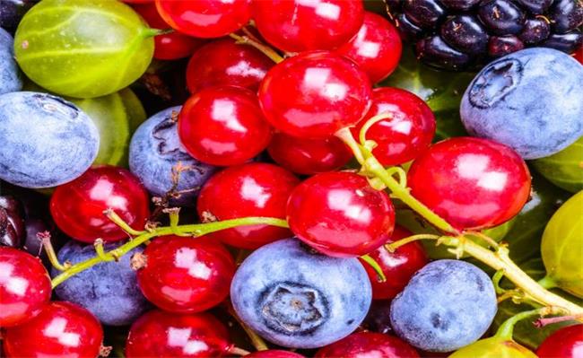 巨邦 巨邦品牌logo與食品包裝設(shè)計欣賞(圖3)