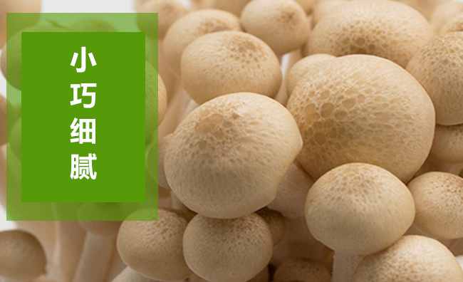 DongSheng東升品牌logo與食品包裝設(shè)計欣賞(圖2)