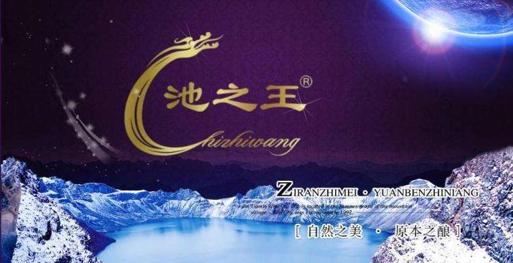 池之王葡萄酒 池之王品牌logo與食品包裝設(shè)計欣賞(圖2)