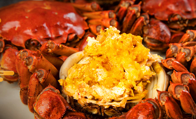 谷源道品牌logo與食品包裝設(shè)計(jì)欣賞(圖2)