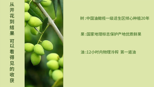 田園油橄欖品牌logo與食品包裝設(shè)計(jì)欣賞(圖4)