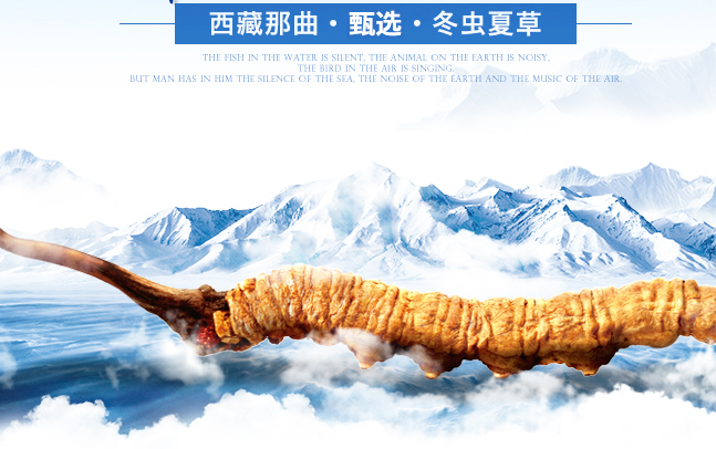 隴萃堂品牌logo與食品包裝設(shè)計(jì)欣賞(圖2)