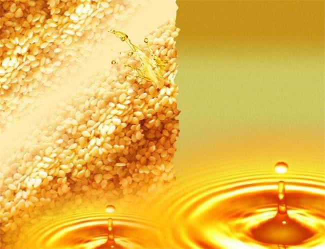 天助 天助品牌logo與食品包裝設(shè)計(jì)欣賞(圖2)