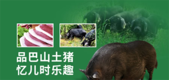 巴山土豬品牌logo與食品包裝設(shè)計欣賞(圖2)