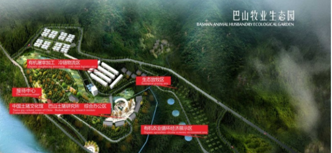 巴山土豬品牌logo與食品包裝設(shè)計欣賞(圖3)