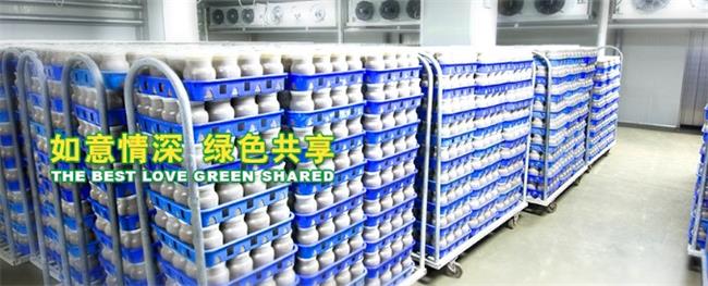 如意情品牌logo與食品包裝設計欣賞(圖3)