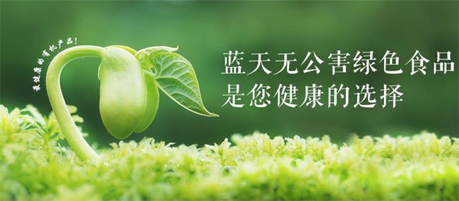 藍(lán)天果蔬 藍(lán)天果蔬品牌logo與食品包裝設(shè)計欣賞(圖3)