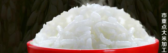 瓦埠湖品牌logo與食品包裝設(shè)計欣賞(圖3)