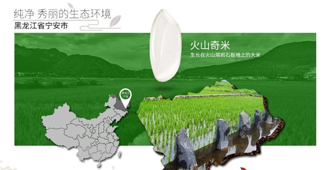 響水大米 響水大米品牌logo與食品包裝設(shè)計(jì)欣賞(圖3)