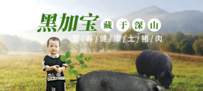 SBODY斯寶帝品牌logo與食品包裝設(shè)計(jì)欣賞(圖1) SBODY斯寶帝品牌logo與食品包裝設(shè)計(jì)欣賞(圖1)