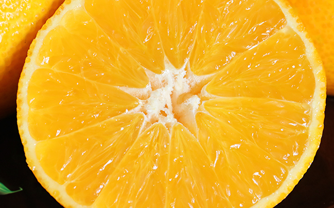 百寶源品牌logo與食品包裝設計欣賞(圖4)